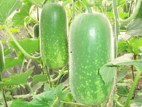 吃瓜网628,揭秘娱乐圈热点事件背后的真相