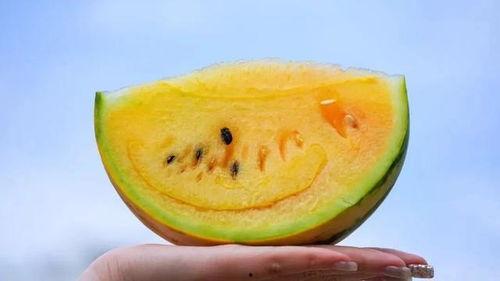 云南网红吃瓜事件真相,揭秘背后真相与反思